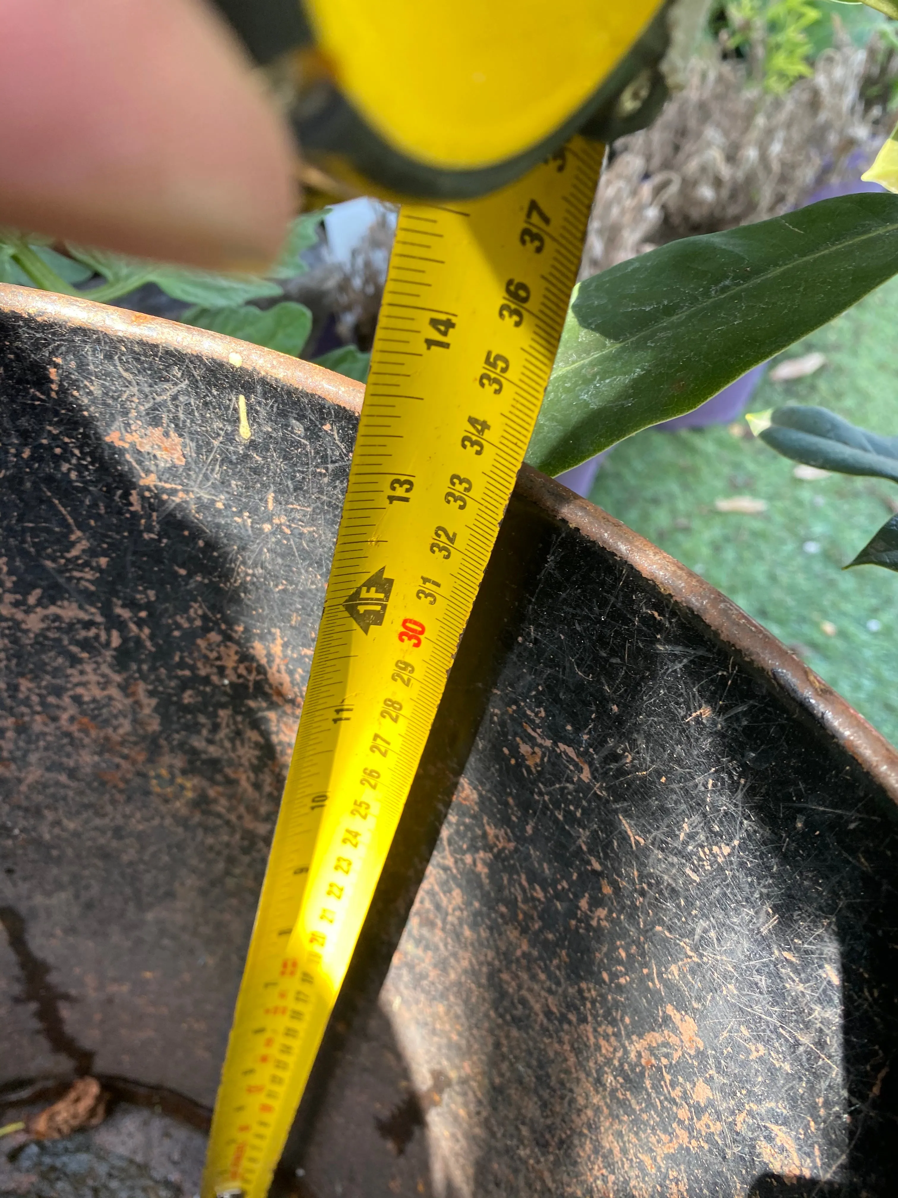 Red galvanised bucket